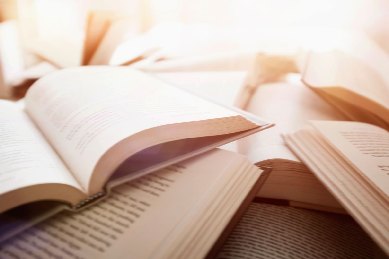 gloriously sunny books edited by final boss editing